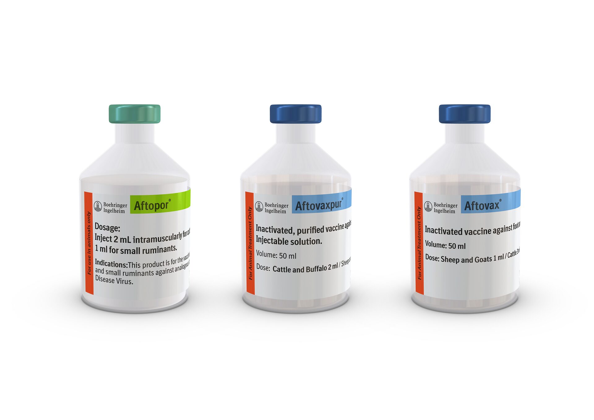 FMD Vaccine