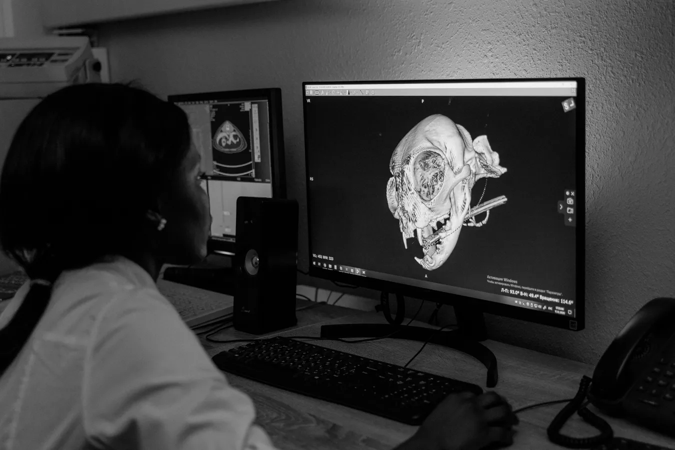 Animal Imaging