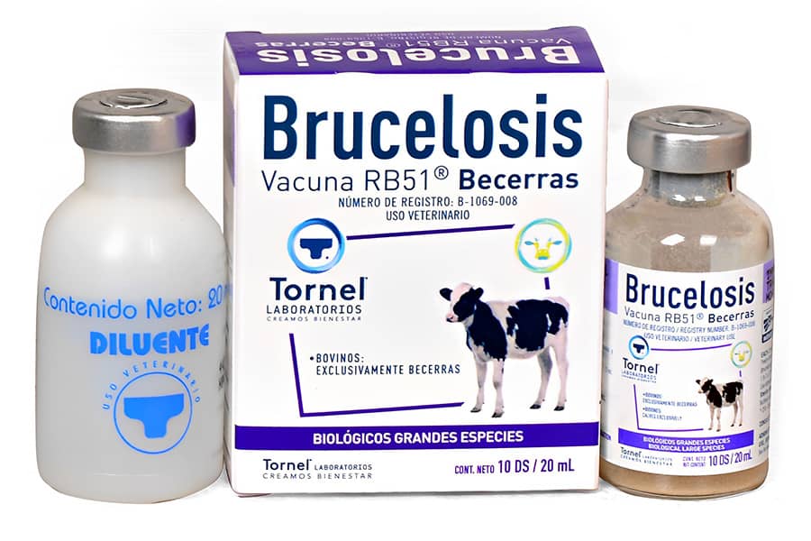 Brucellosis Vaccine RB51