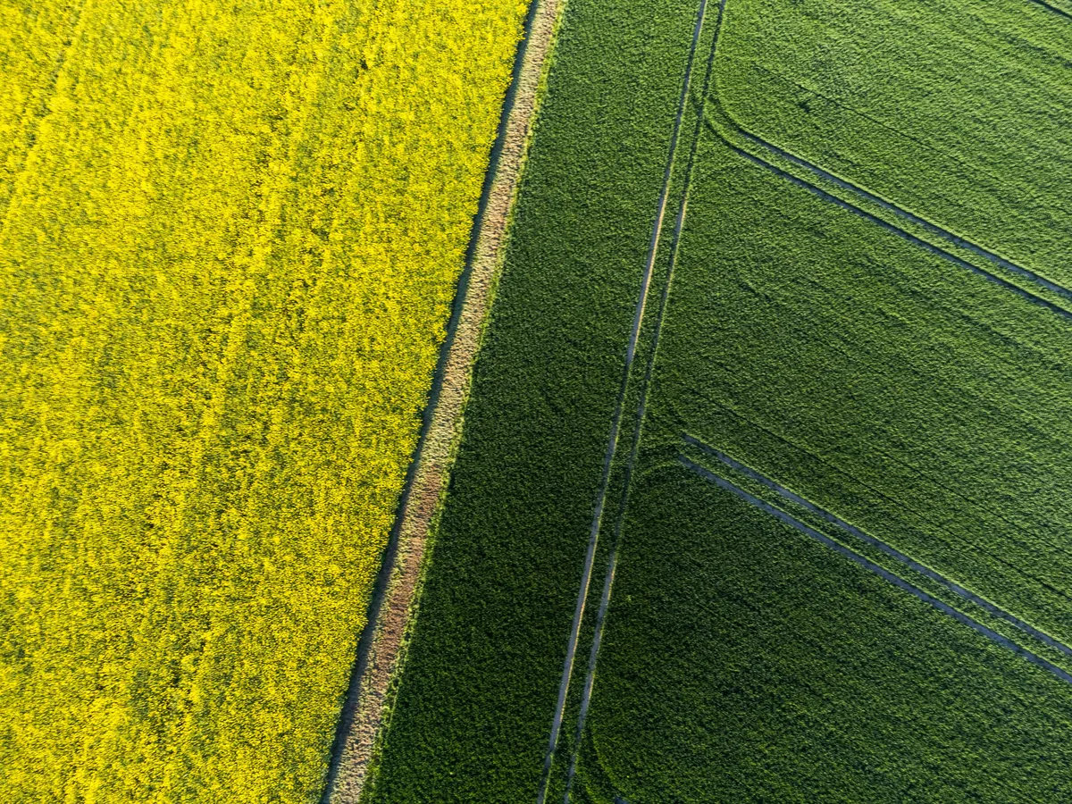 Crop Diagnostics