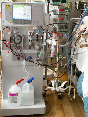Dialysis adequacy — Kt/V monitoring every session.