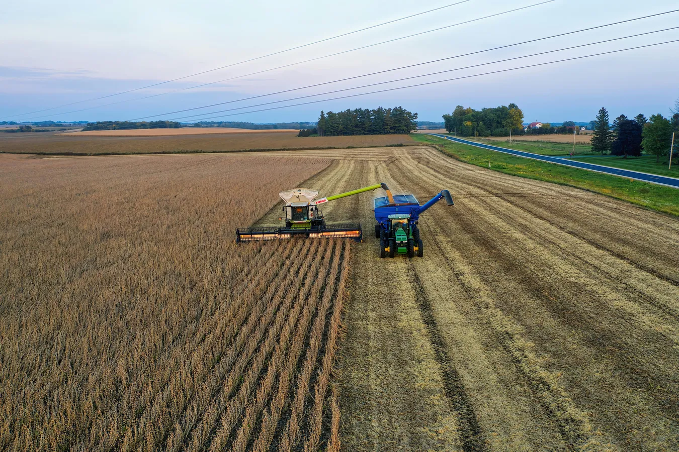 Post-Harvest Systems
