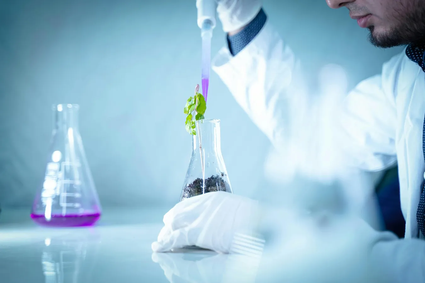 Soil & Plant Laboratories