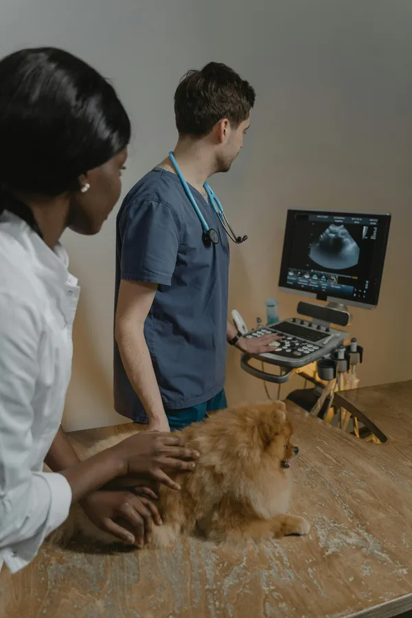 Veterinary Diagnostics