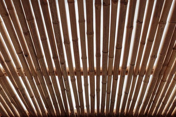Bamboo structural components offer the highest strength-to-weight ratio of any building material.