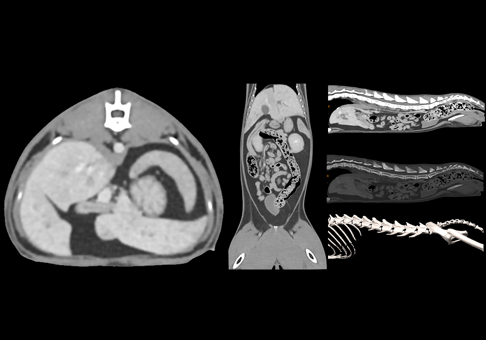 Brain imaging changes neurological outcomes.