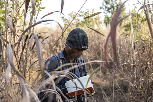 Ecological monitoring programmes track project biodiversity impact.