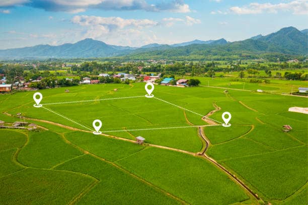 Prescription maps convert NDVI data into application rate instructions.