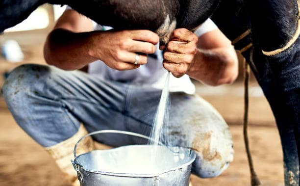 Poultry trace mineral deficiency explains many unexplained losses.