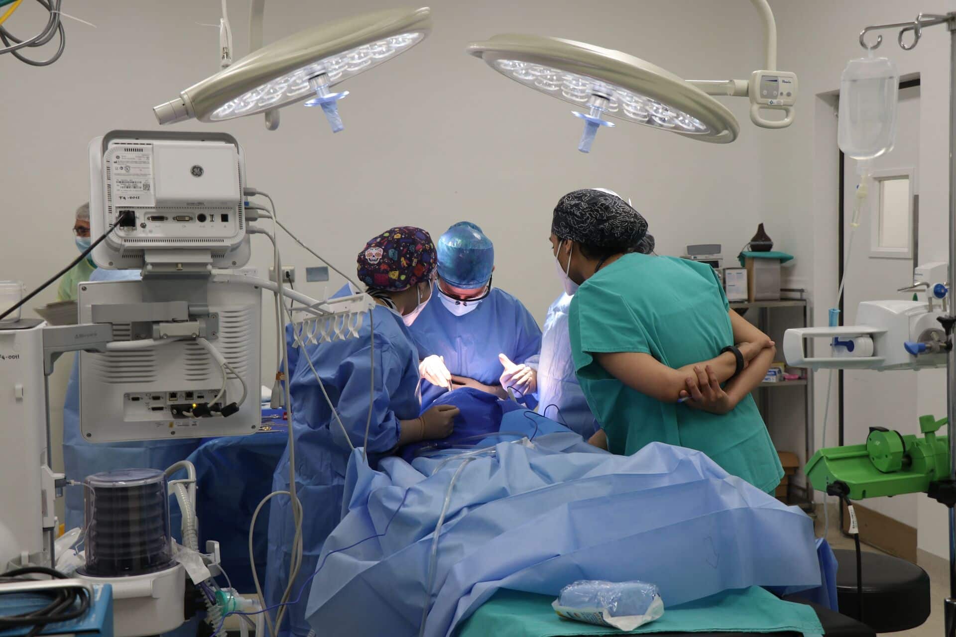Veterinary Imaging