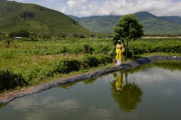 Water Harvesting Infrastructure