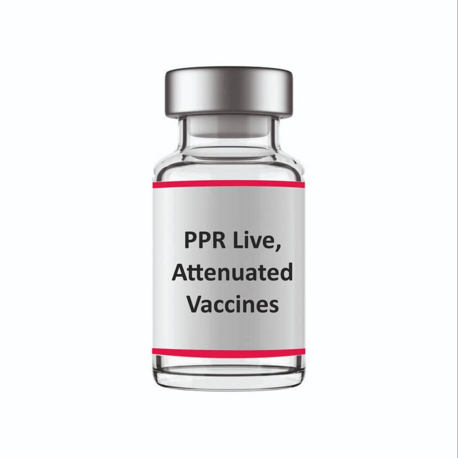 PPR Vaccine (Pestivac)