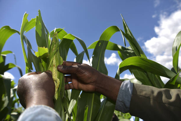 IRAC rotation prevents resistance before it costs the season.