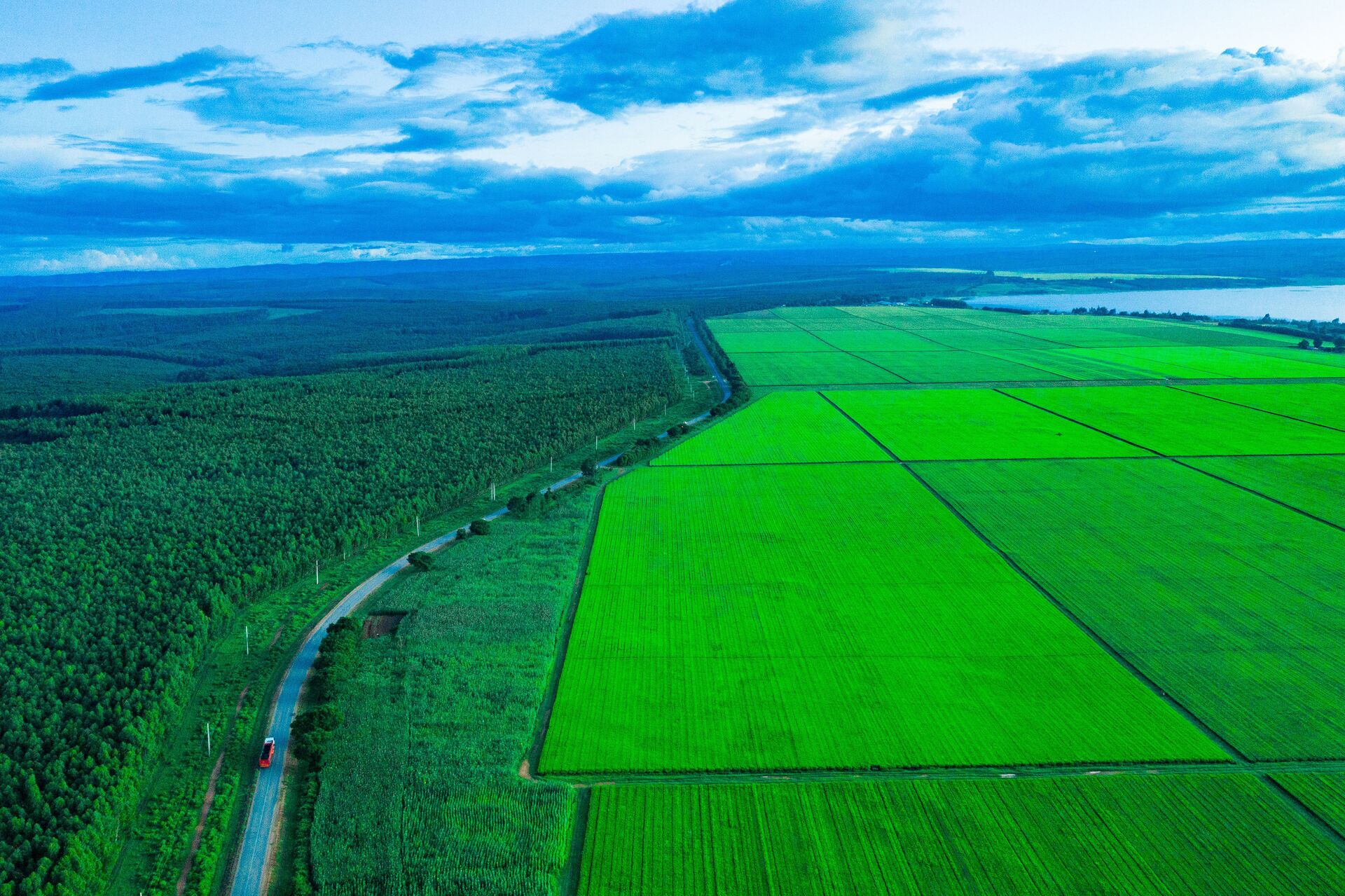 Sustainable Farming Solutions