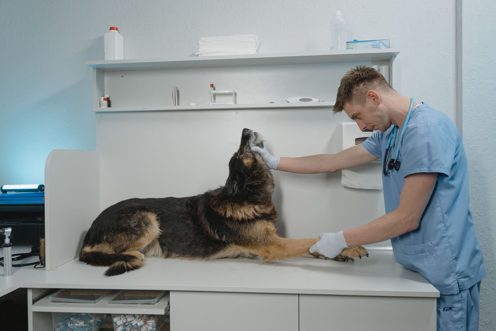Vaccines & Preventive Care
